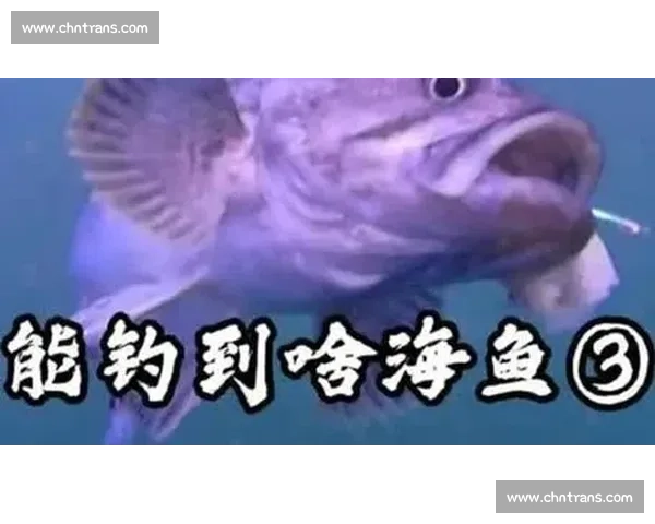 青岛灵山岛爆箱时刻！2 小时钓 40 斤鲈鱼，金秋海钓正当时